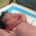 Baby Joey Born 2015-04-03